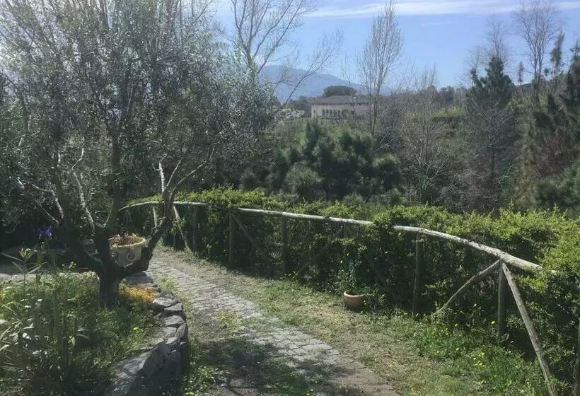 ホテル Tenuta Terradifuoco