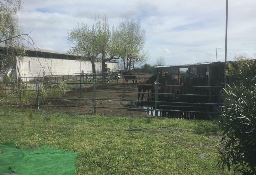 Отель Tenuta Terradifuoco