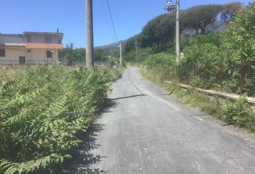 Отель Tenuta Terradifuoco