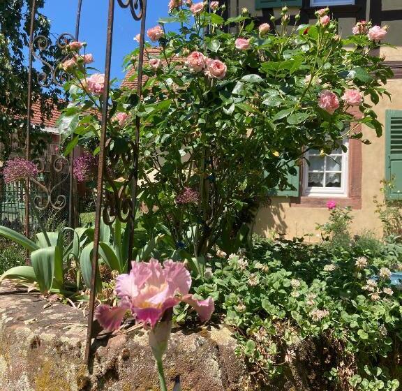 تختخواب و صبحانه Au Fil Du Temps