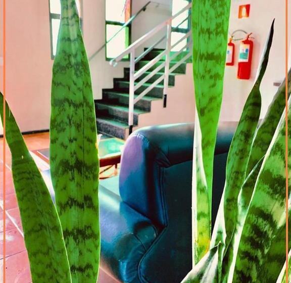 カプセルホテル Anexo   Hospedagens Imigrantes