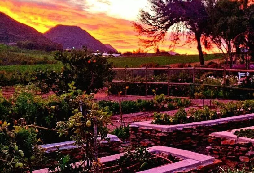 Majatalo Pjure Wellness Retreat & Spa