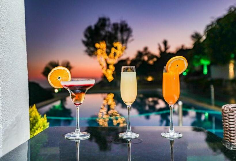 Regenta Resort Exotica Dharamshala On Hilltop