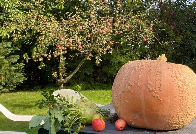 Общежитие Spurensucher Quartier