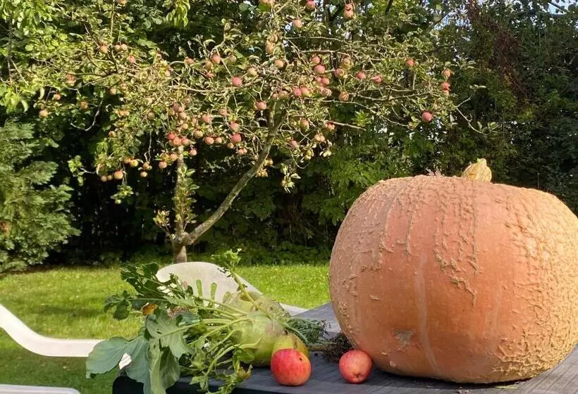 Retkeilymaja Spurensucher Quartier