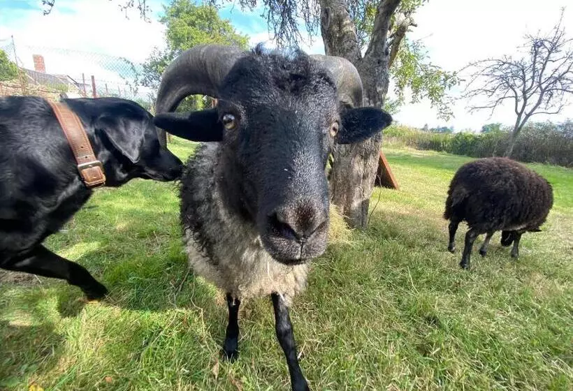 Retkeilymaja Spurensucher Quartier