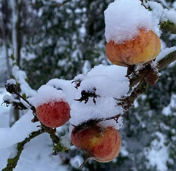 Retkeilymaja Spurensucher Quartier