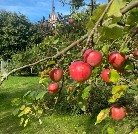 Retkeilymaja Spurensucher Quartier