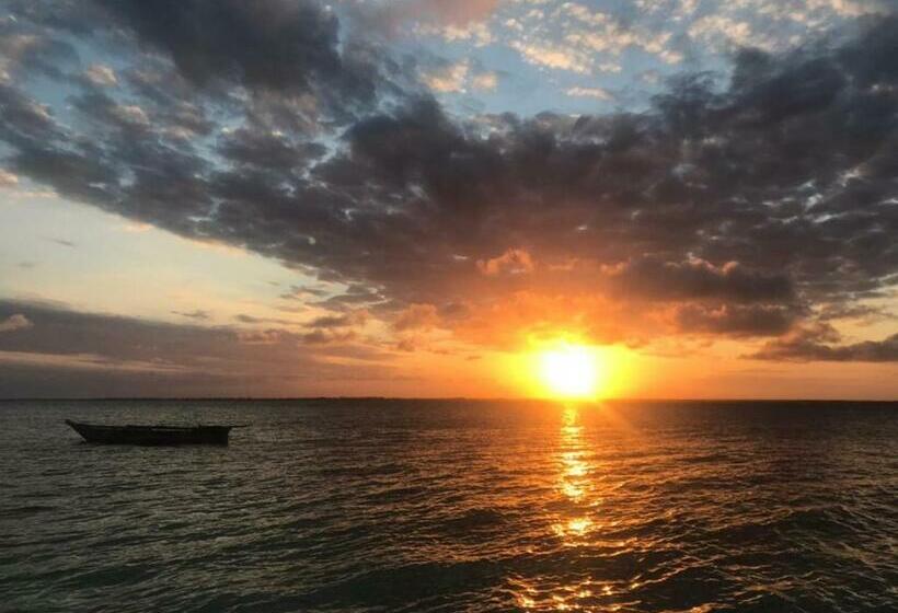 ホテル Dreamland Bungalows Michamvi Kae