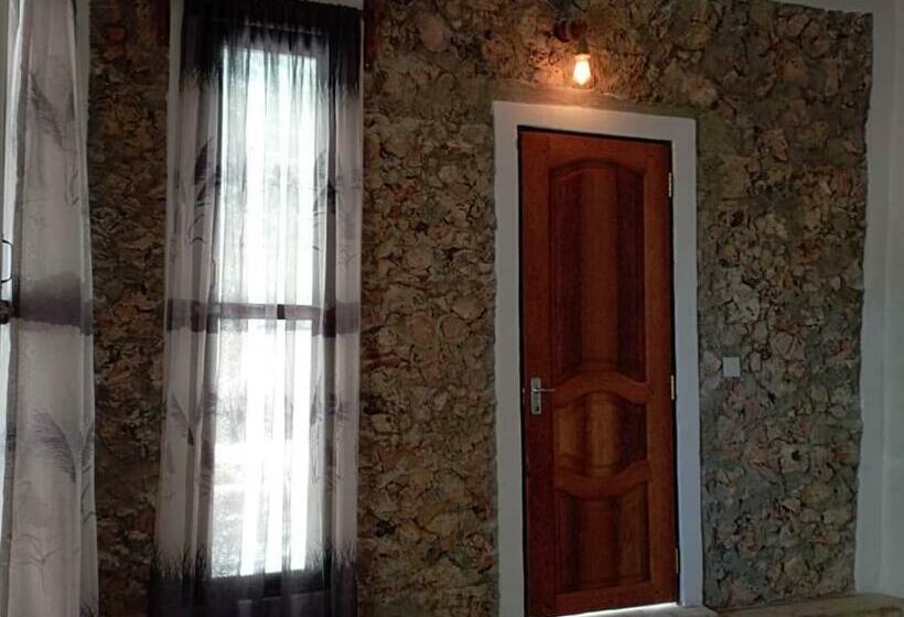 ホテル Dreamland Bungalows Michamvi Kae