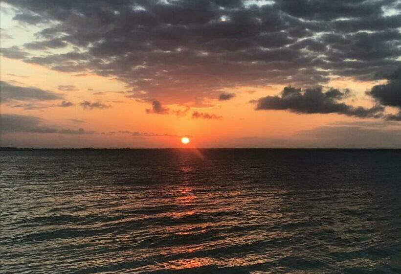 ホテル Dreamland Bungalows Michamvi Kae