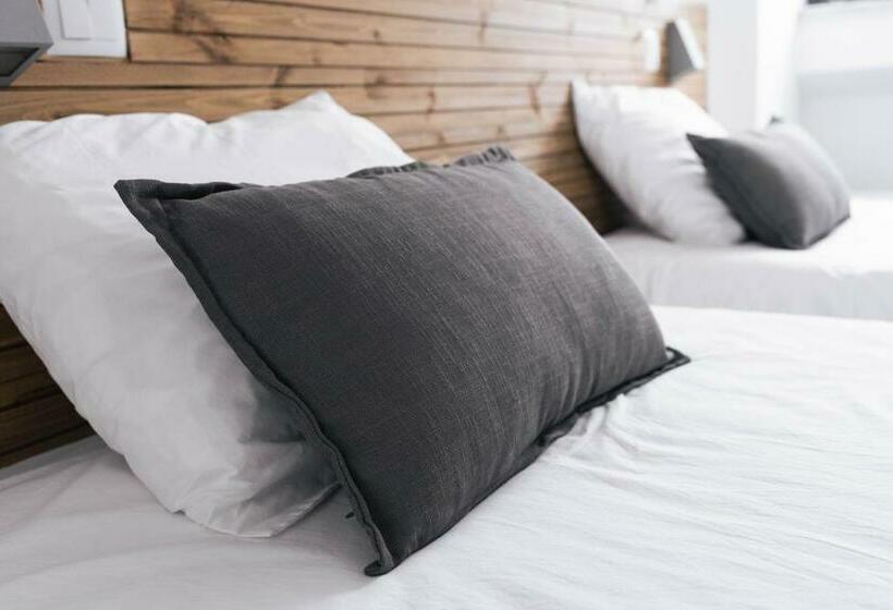 هاستل Ferrel Surf House