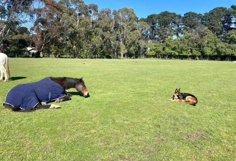 ホテル Farm Stay Maple Cottage At Wilindi Estate
