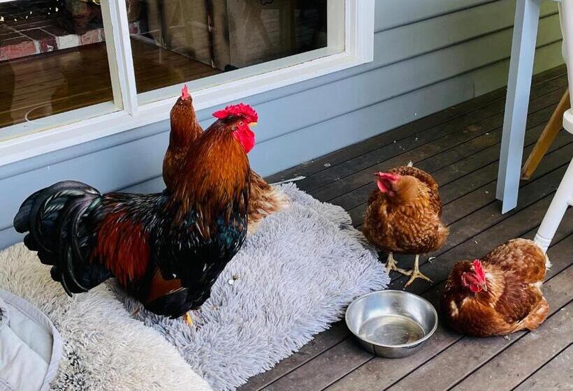 酒店 Farm Stay Maple Cottage At Wilindi Estate