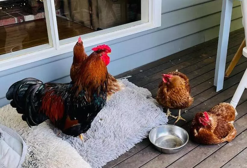 ホテル Farm Stay Maple Cottage At Wilindi Estate