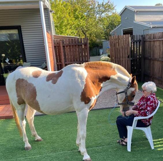 酒店 Farm Stay Maple Cottage At Wilindi Estate
