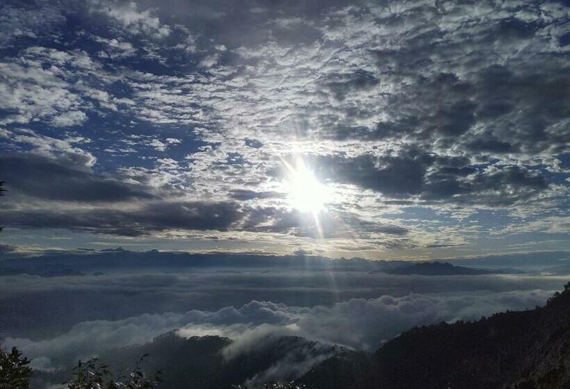 Hotel Green View Resort