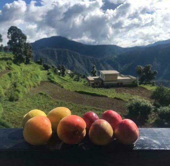 Hotel Green View Resort