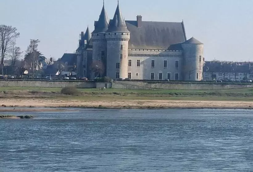 ホテル Logis Hôtel Sully Le Château