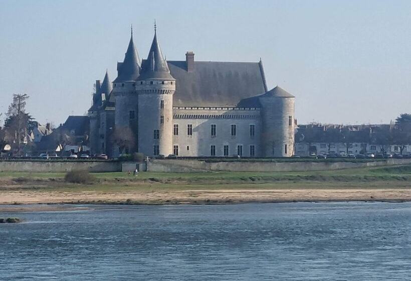 فندق Logis Hôtel Sully Le Château