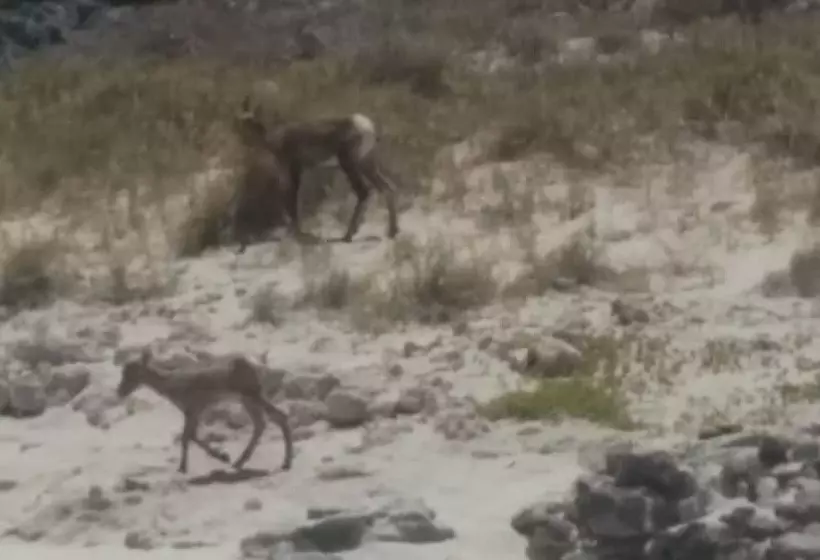 Hotel Loreto Playa Boutique