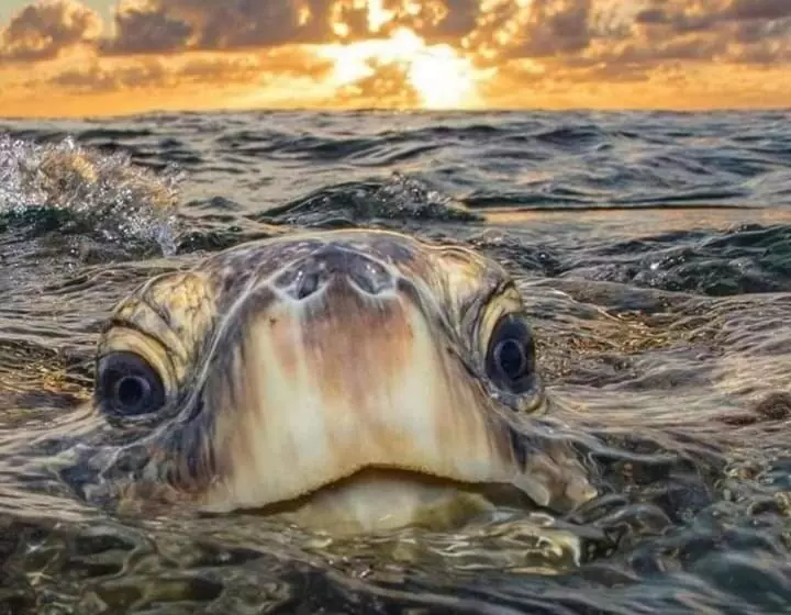 Hotel Loreto Playa Boutique