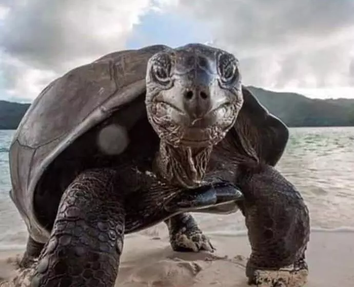 Hotel Loreto Playa Boutique