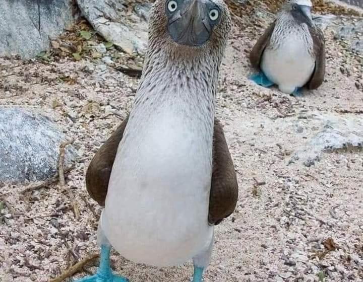 Hotel Loreto Playa Boutique