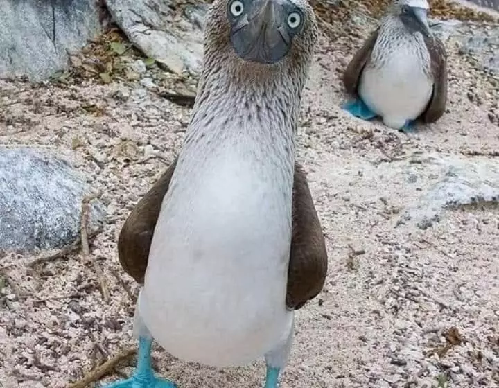 Hotel Loreto Playa Boutique