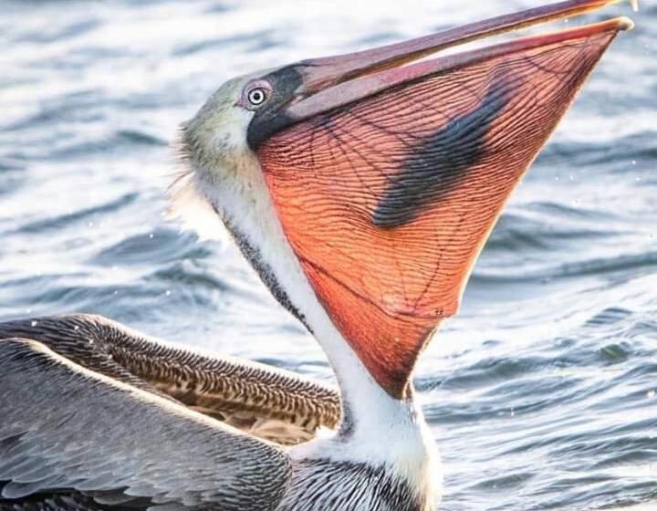 Hotel Loreto Playa Boutique