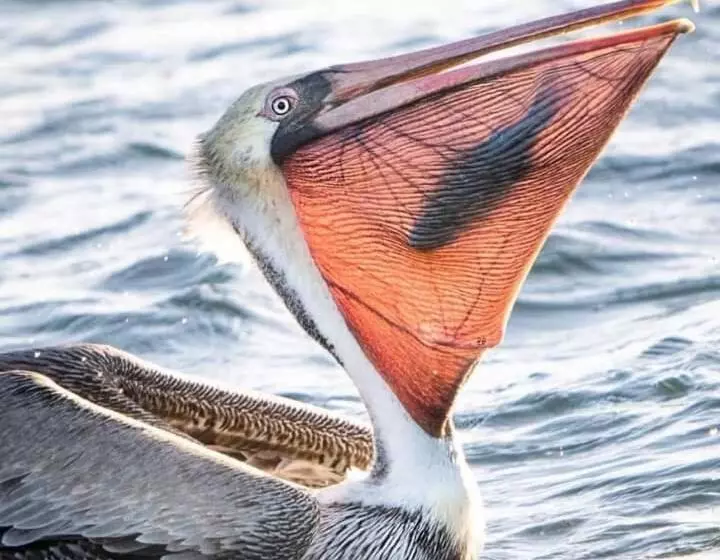 Hotel Loreto Playa Boutique