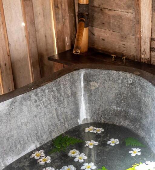 酒店 Ratua Private Island Resort