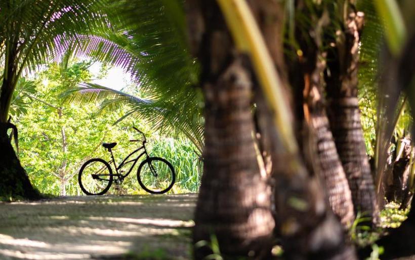 酒店 Ratua Private Island Resort