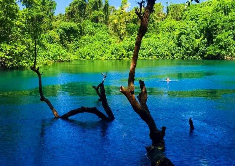 酒店 Ratua Private Island Resort