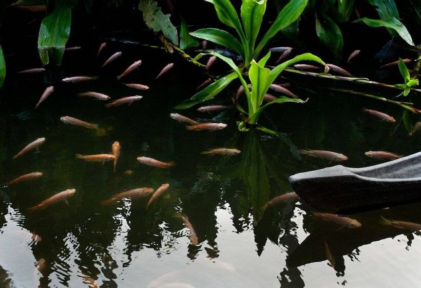 リゾートホテル Reef Villa