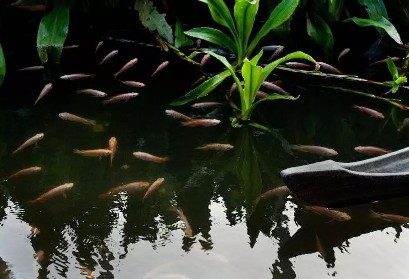 リゾートホテル Reef Villa