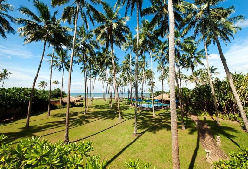 リゾートホテル Reef Villa