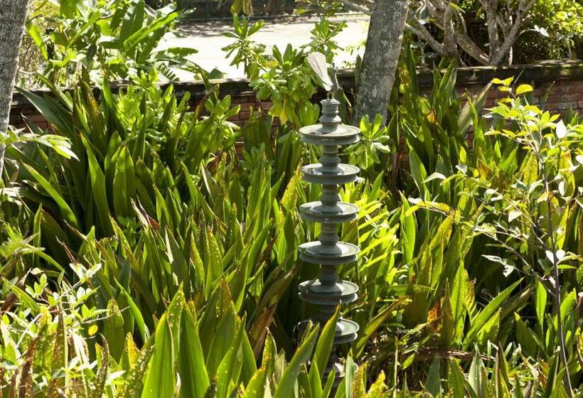 リゾートホテル Reef Villa