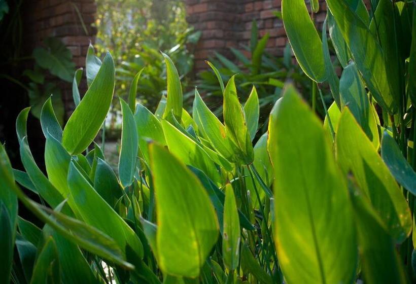 リゾートホテル Reef Villa