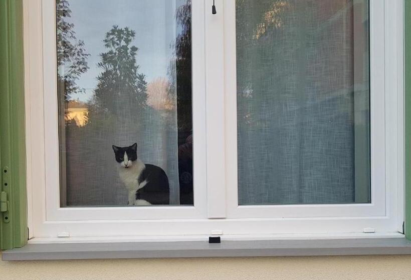 تختخواب و صبحانه Green Stay Bergamo