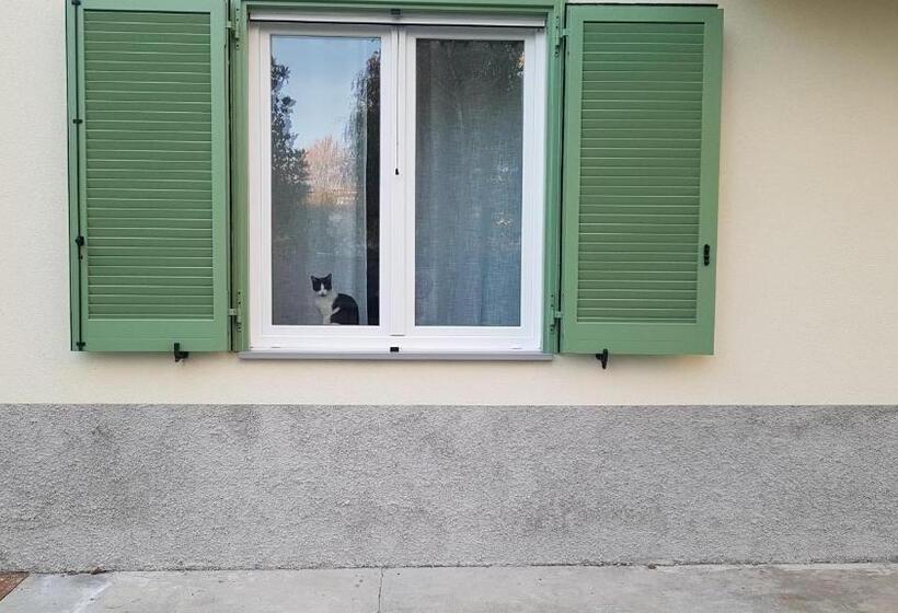 تختخواب و صبحانه Green Stay Bergamo