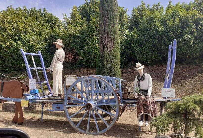 Bed and Breakfast Chambres D Hãƒæ’ã‚â´tes Dans Authentique Mas Avec Piscine En Provence