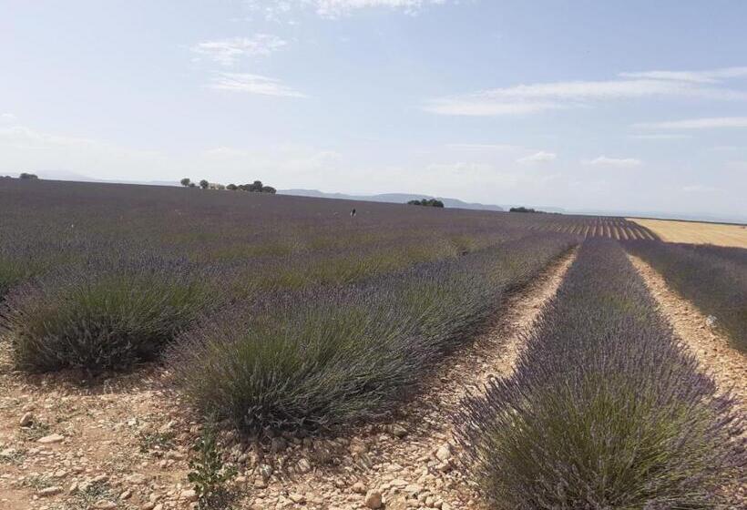 Bed and Breakfast Chambres D Hãƒæ’ã‚â´tes Dans Authentique Mas Avec Piscine En Provence