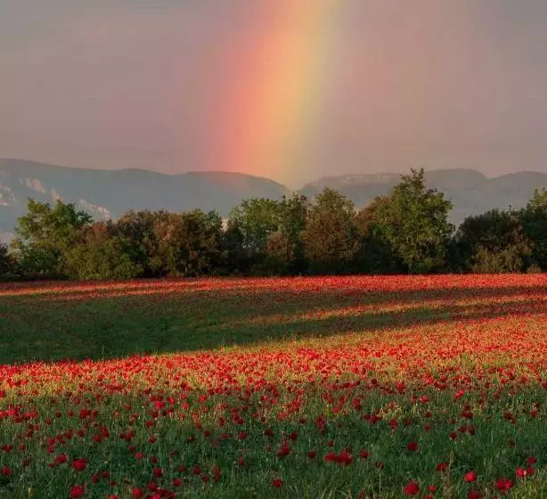 Aamiaismajoitus (B&B) Chambres Tomate, Dans Maison Avec Petit Escalier Et Stanna, à 6km Du Festival De Piano De La Roque D
