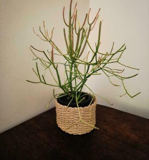 بنسيون The Yellow Door Guesthouse