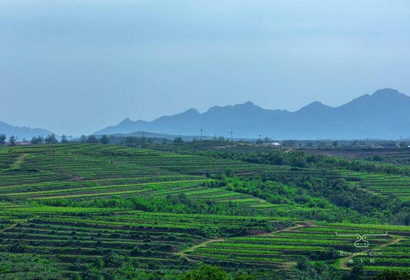 فندق Runaway Cow Winery Retreat