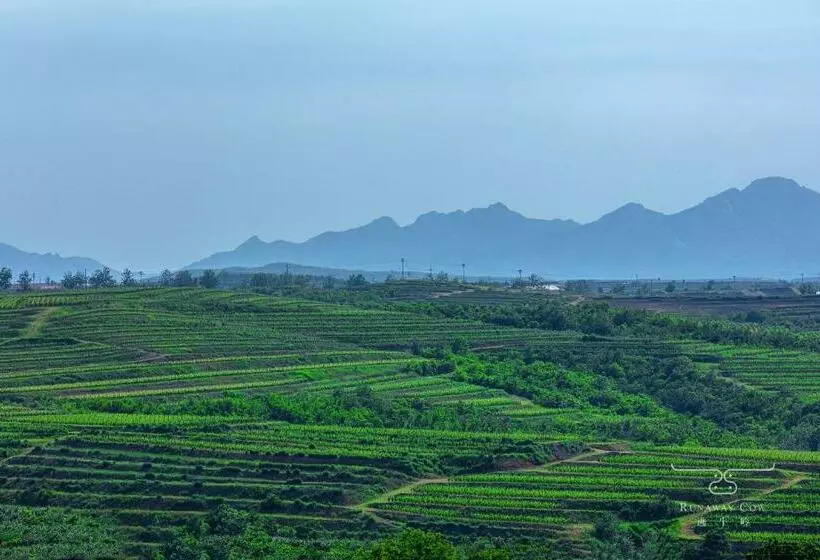 ホテル Runaway Cow Winery Retreat