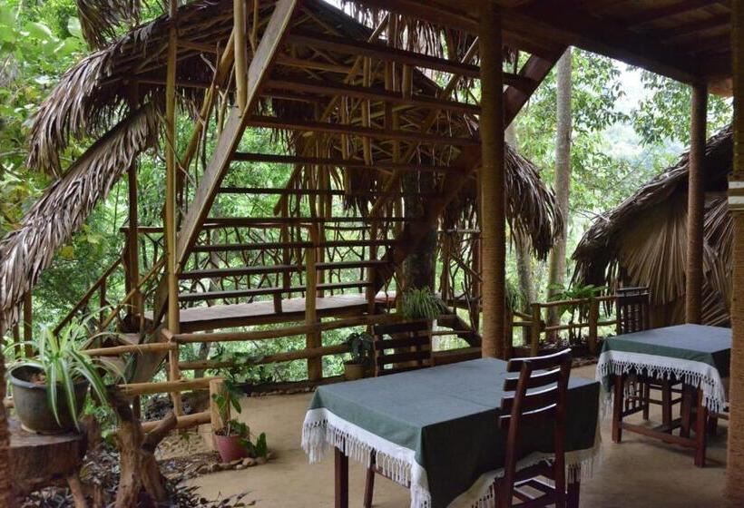 אתר נופש Eco Village