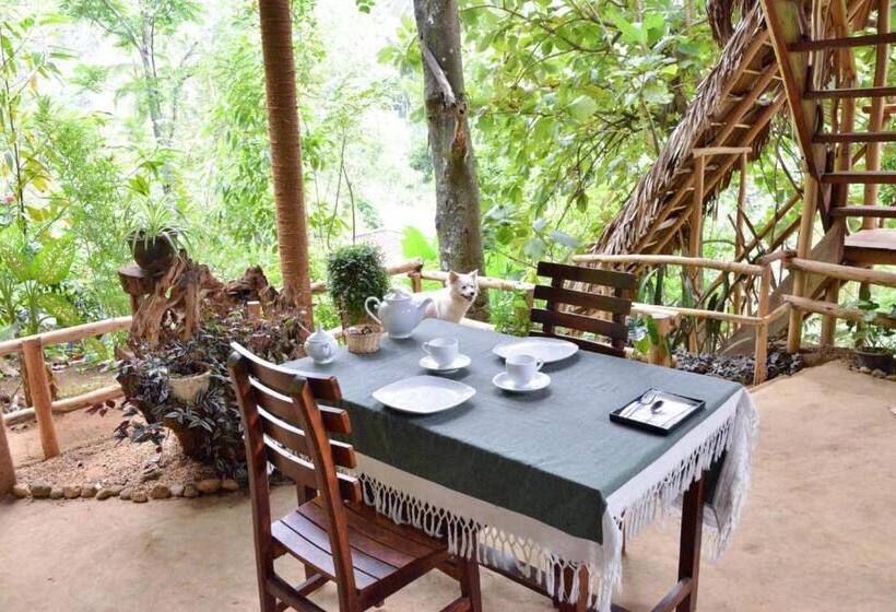 אתר נופש Eco Village