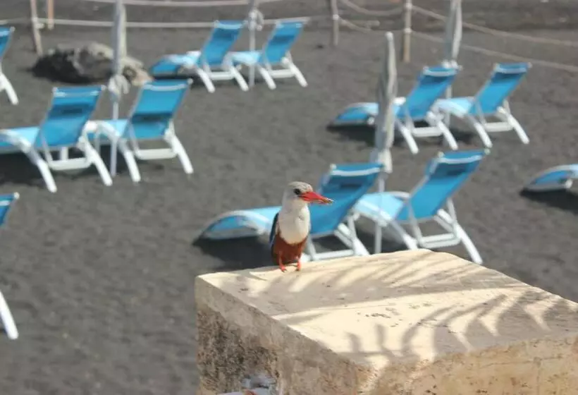 هتل Falucho Paradise Beach